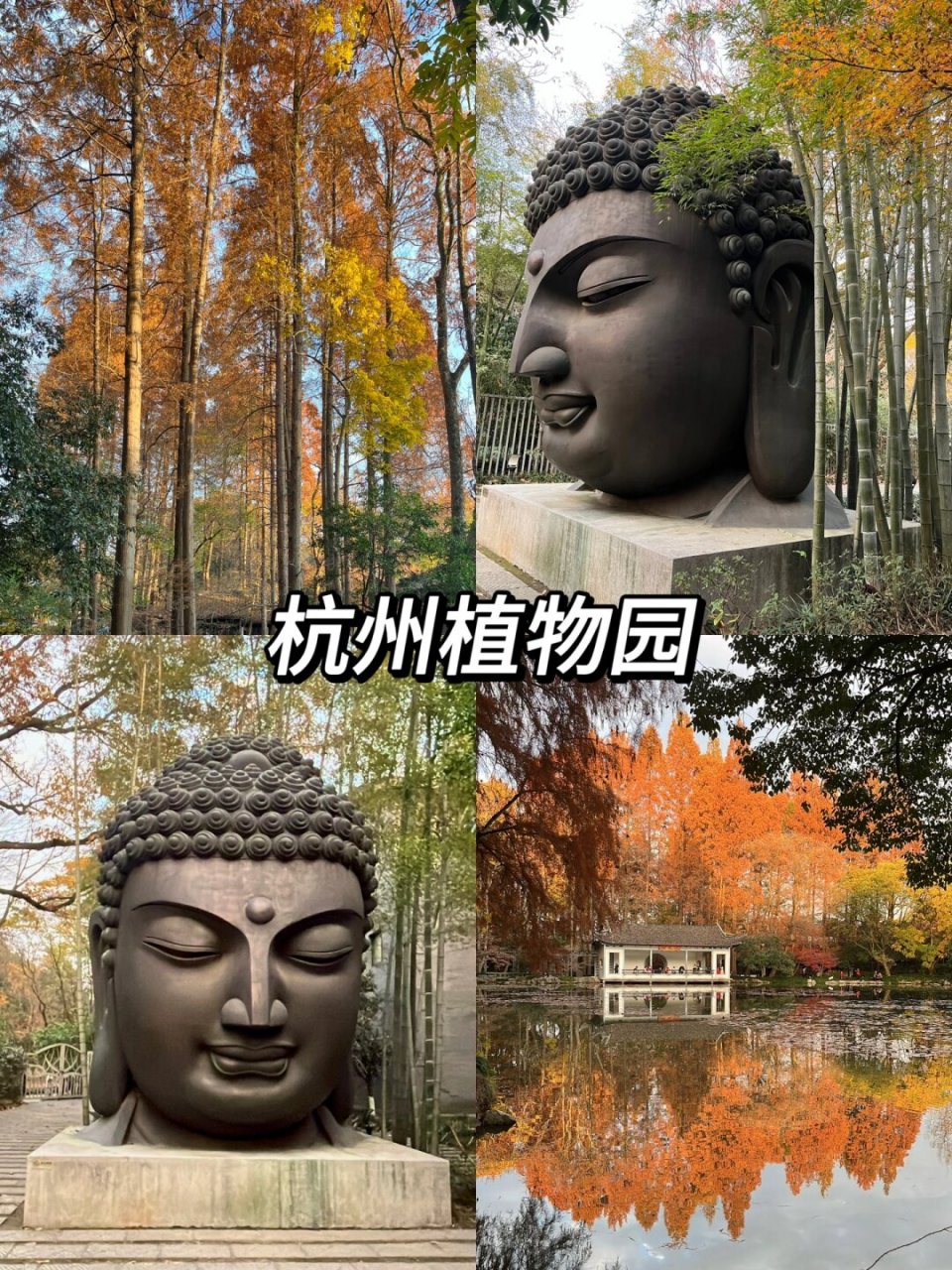 秋日里的植物园  杭州植物园位于浙江省杭州市西湖区桃源岭,核心位置