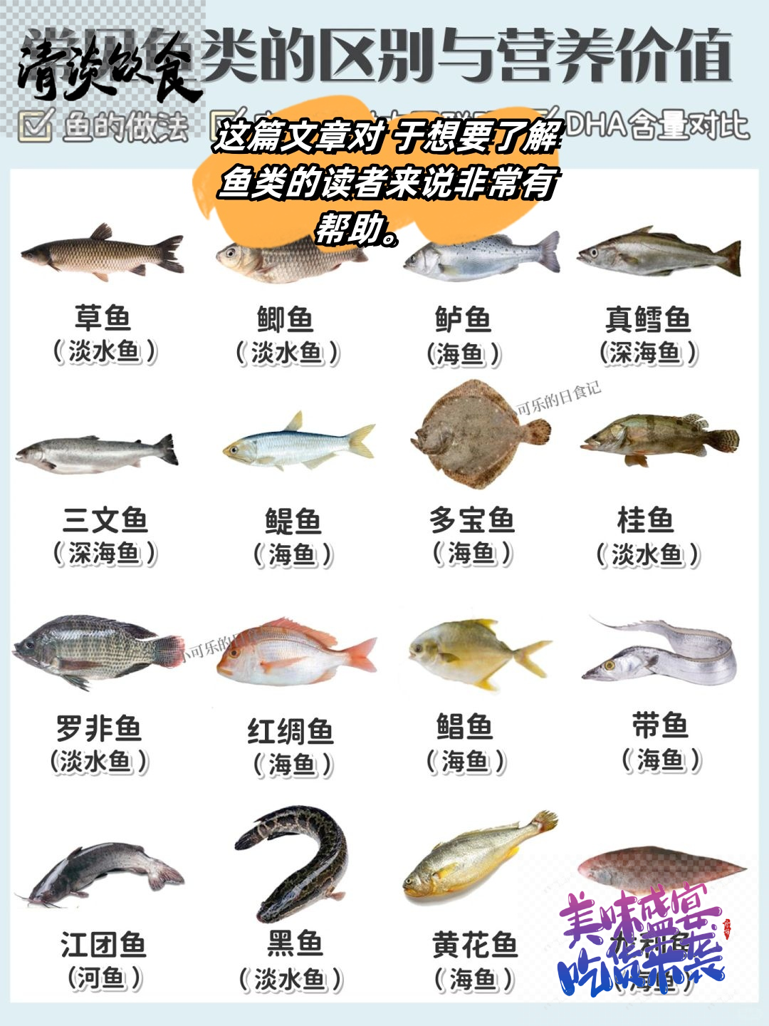 鱼类大全名字海洋生物图片