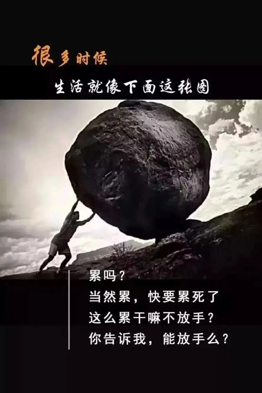 人生再难,也不能轻易放手