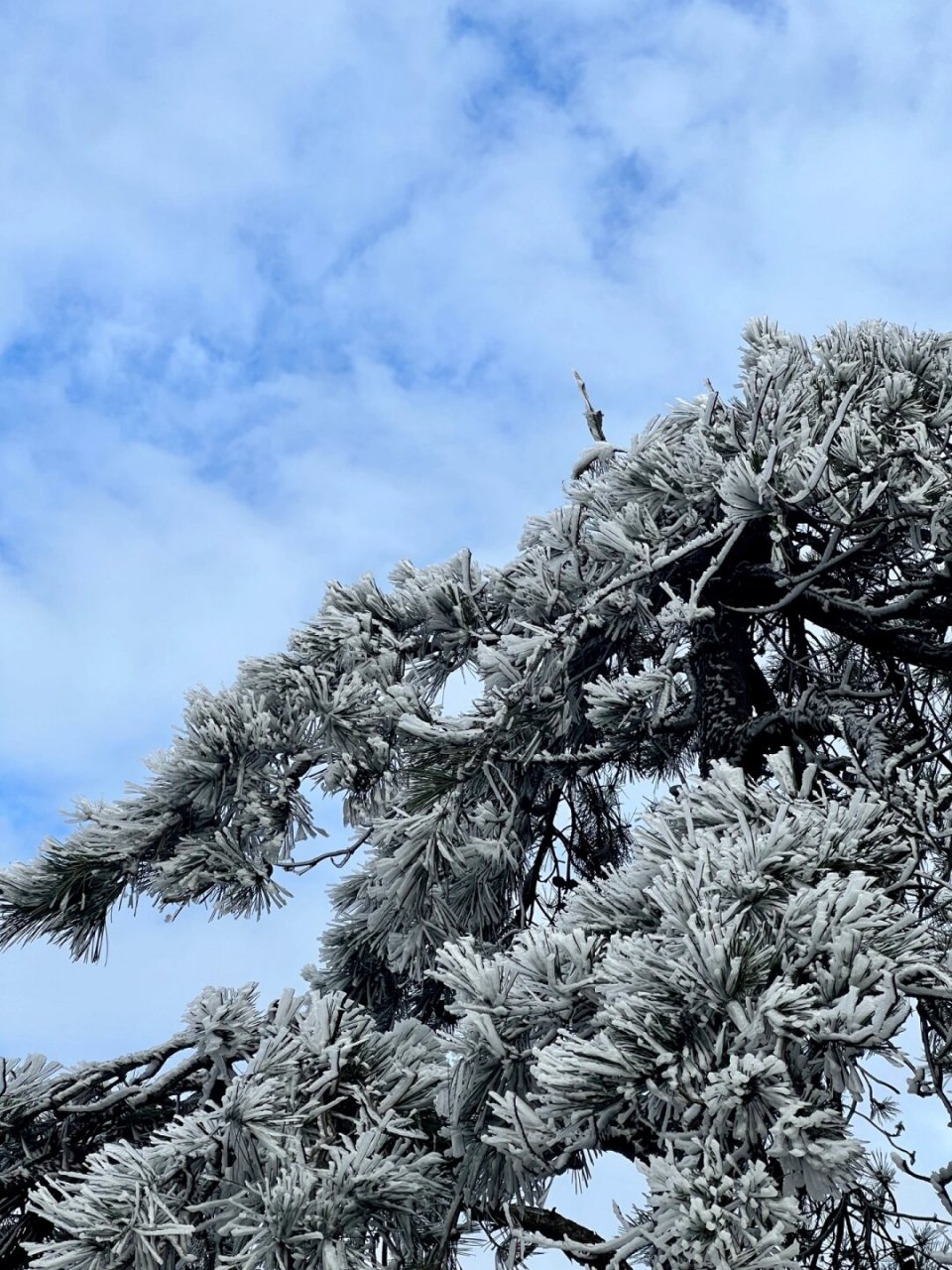天姥山环线  打卡绍兴新昌天姥山,不用再羡慕北方的雪景,我们绍兴也有