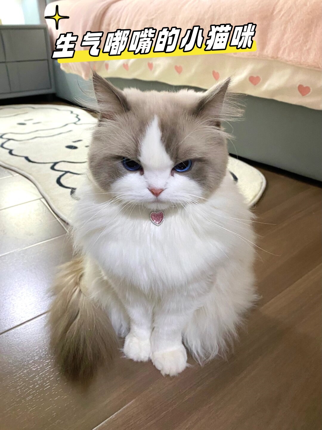 一只可爱的小猫咪正撅着嘴,用力地鼓着气,显然在生