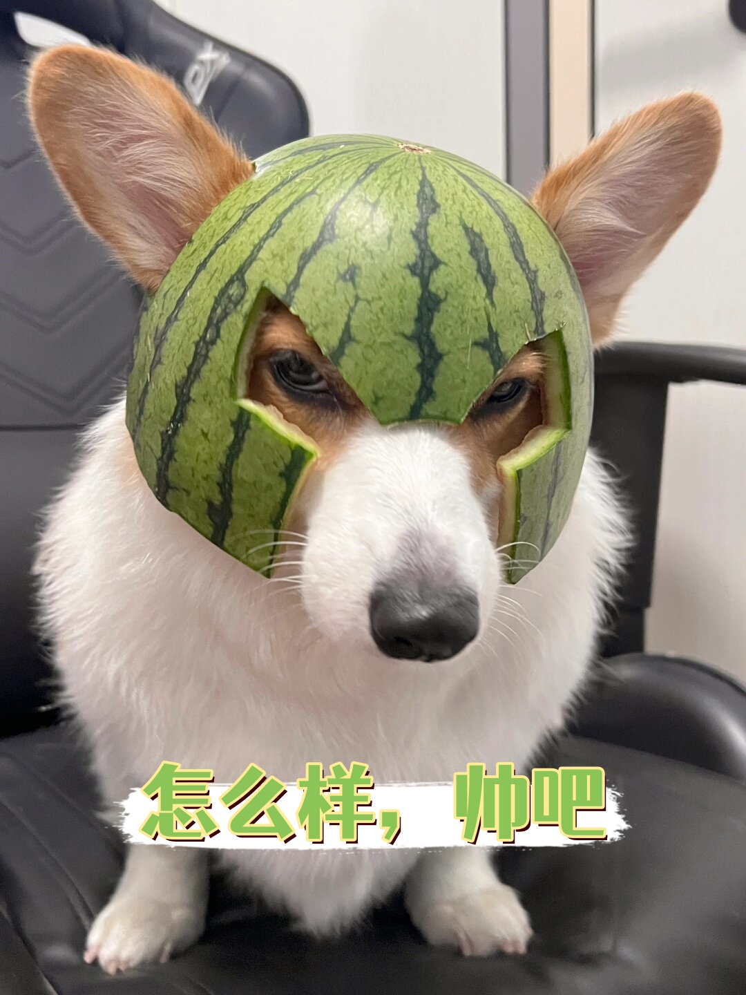 哈哈哈哈,新英雄:西瓜侠在此!