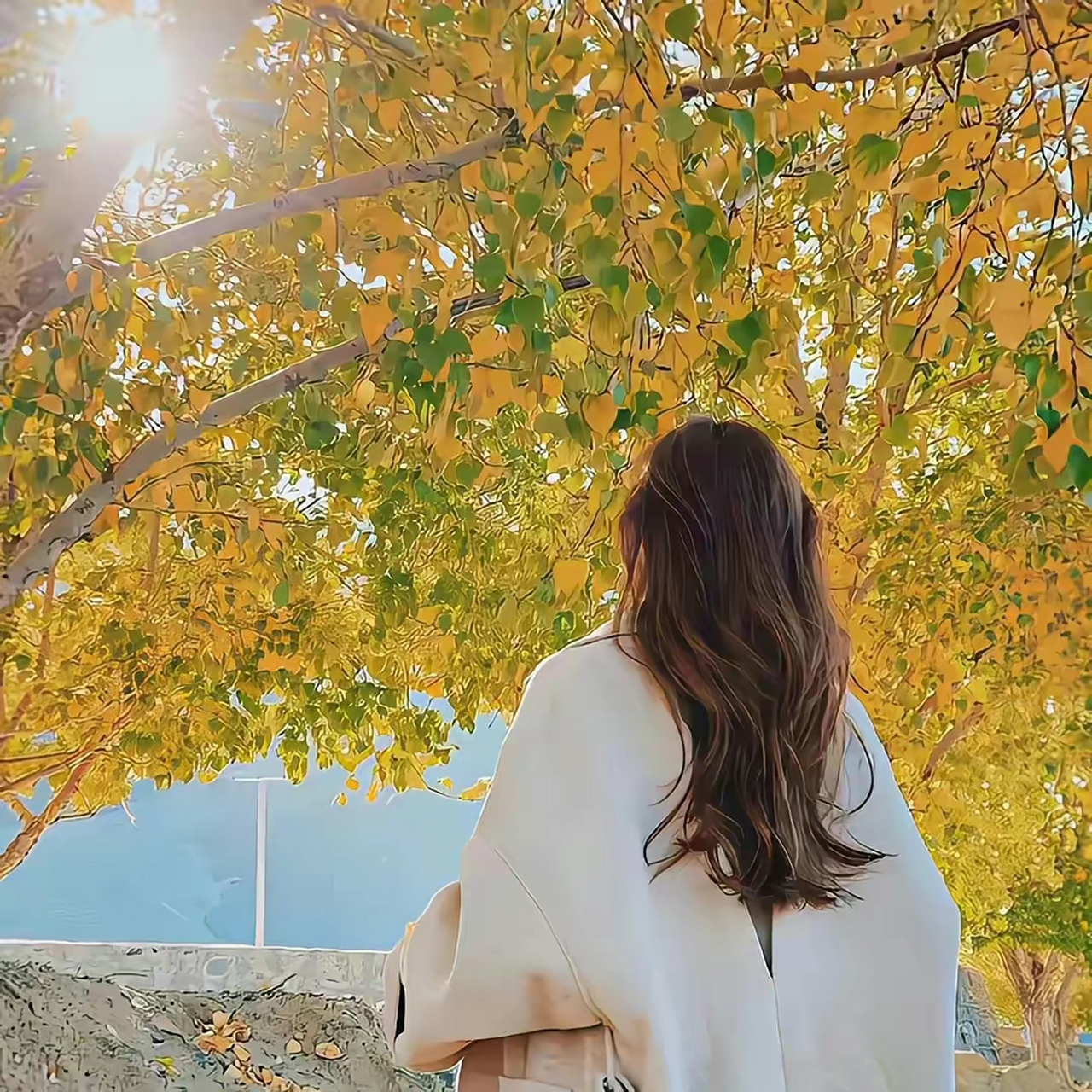 女生头像,静心感受岁月的美好,品味生命的馨香 #跨年创作挑战赛