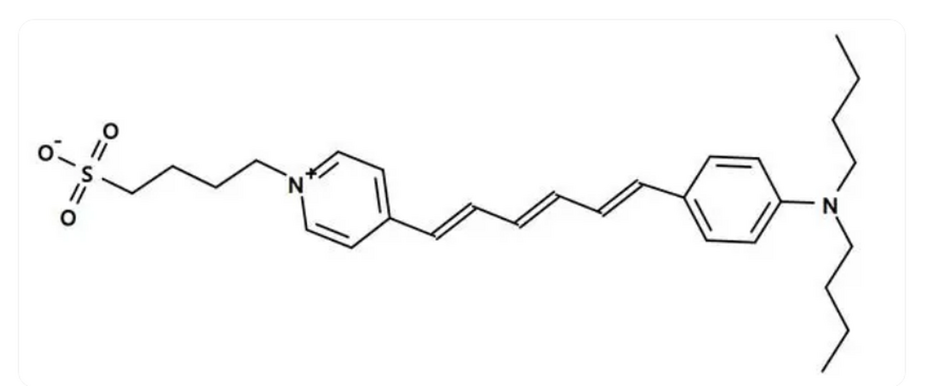 荧光染料探针图片