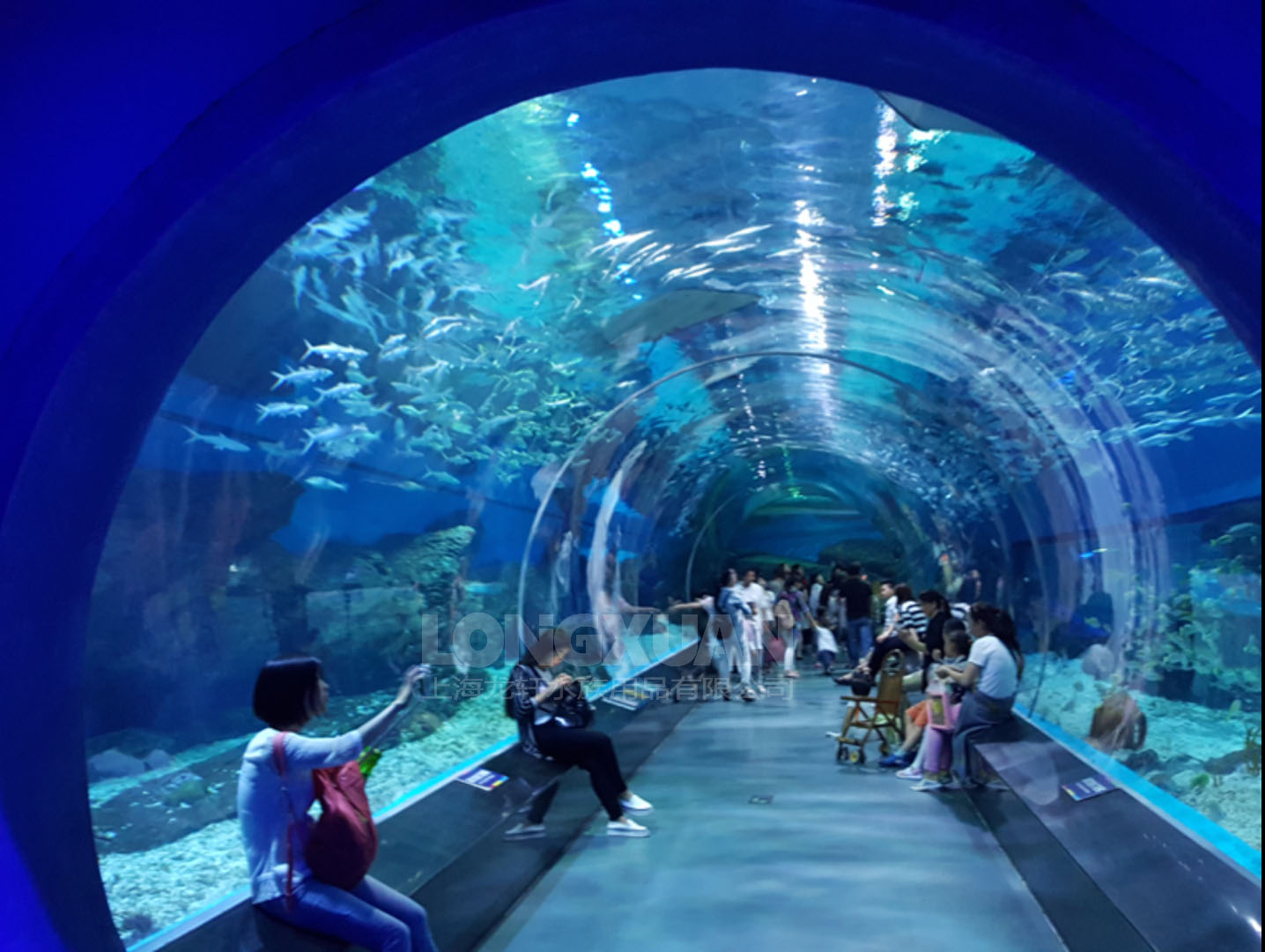 海洋馆内的水循环系统是如何设计的,以保证水质的稳定和循环?