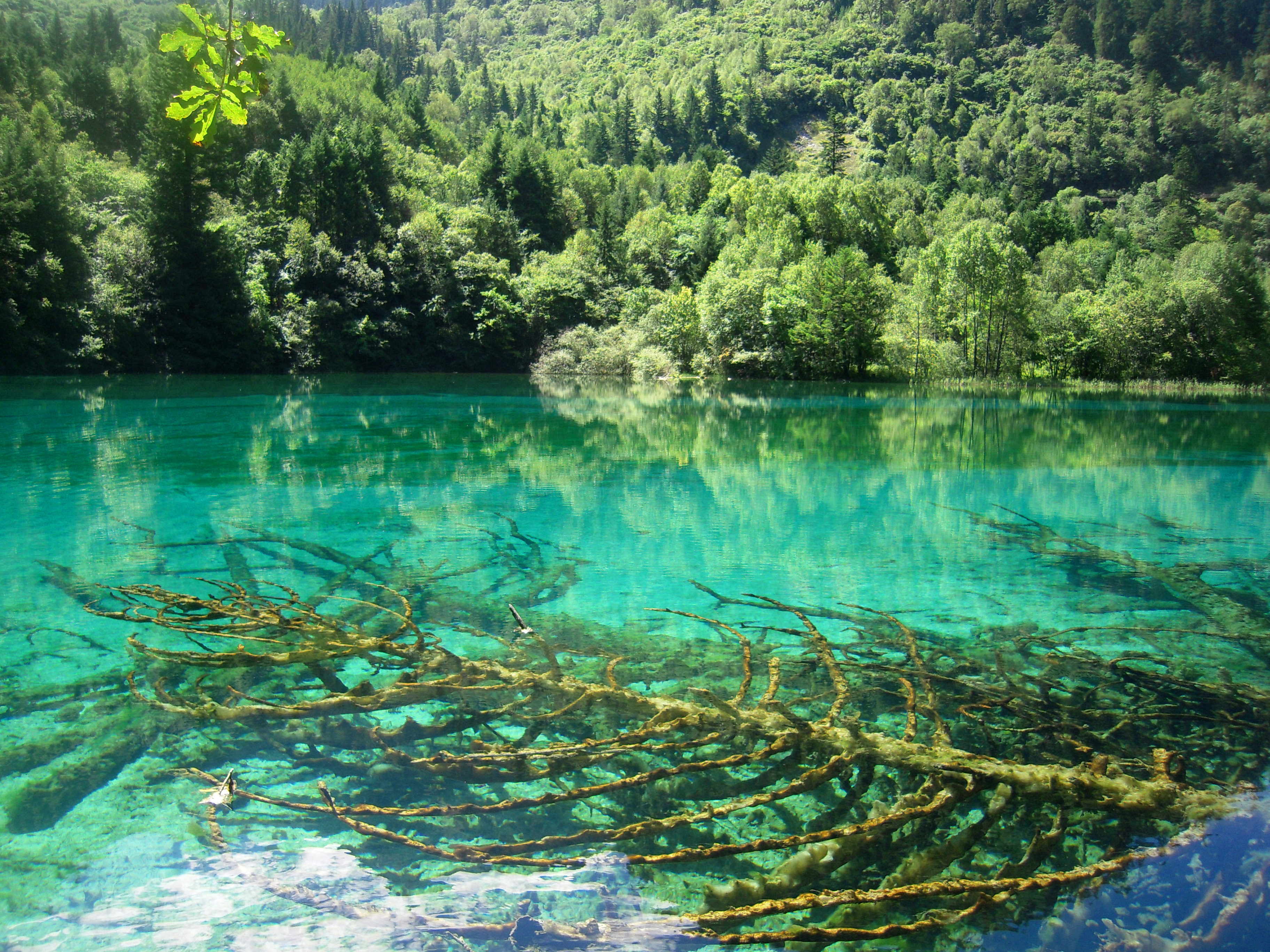 青州九寨沟旅游景点图片