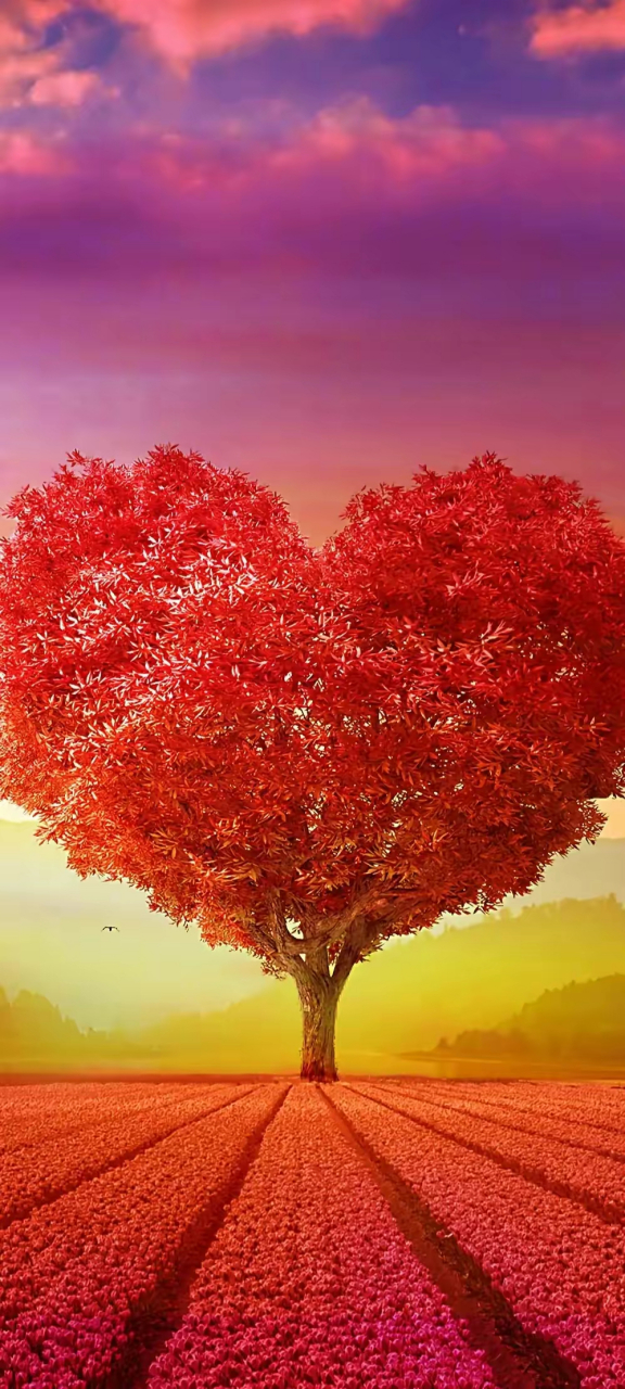 壁纸分享～红色爱心,温暖人间,传递关爱与希望 #跨年创作挑战赛