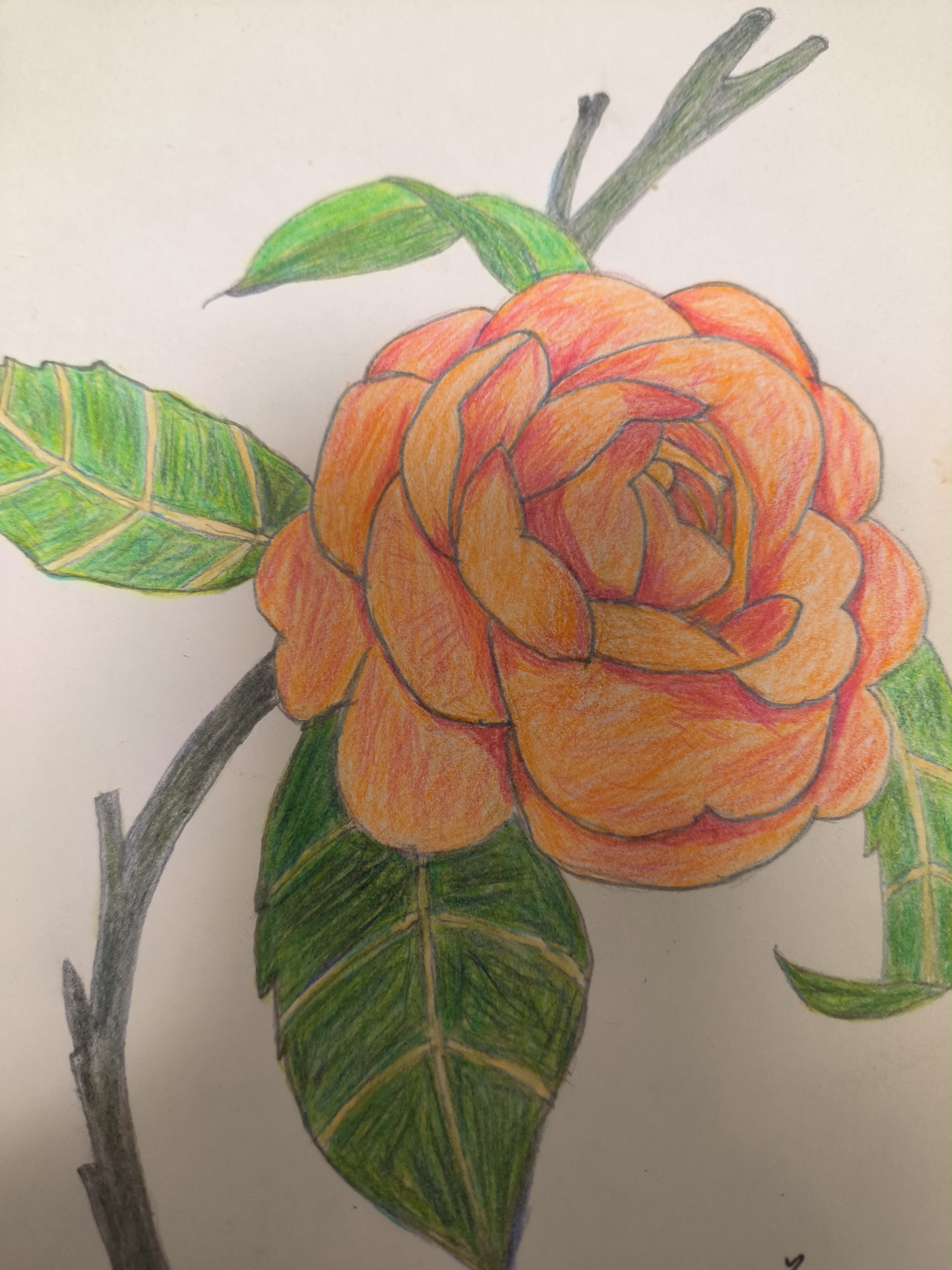 总是和自己妥协,总是和生活言好,往前走,总能找到内心偏于一隅