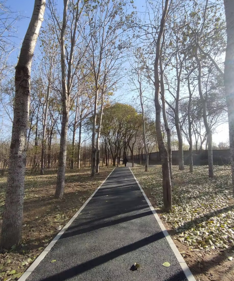 北京朝阳东坝郊野公园美到极致
