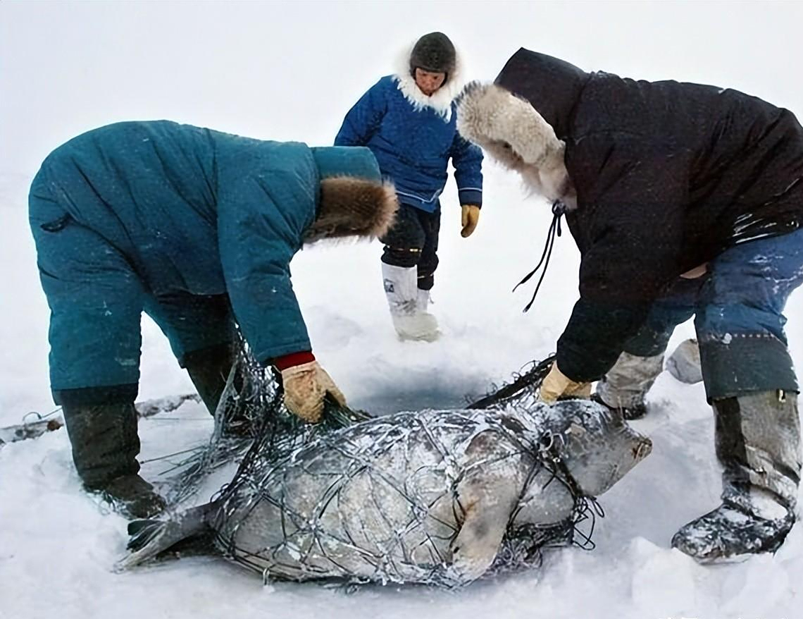 因纽特人住冰屋还裸睡为什么不怕冷屋里生火不怕冰融化吗