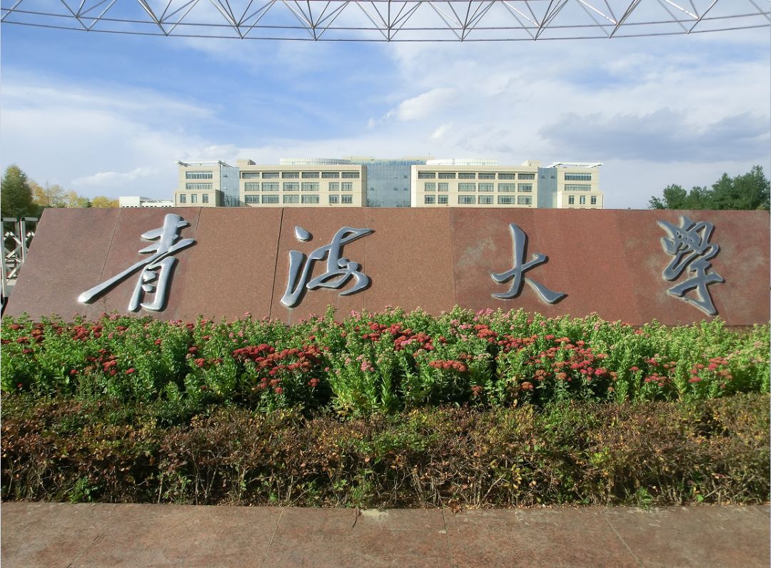 青海大学在哪个省?