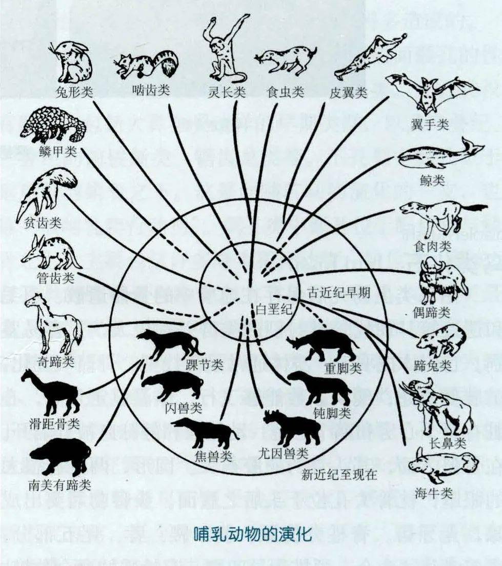 人类竟是鱼类后代?化石证明一切,身上的痕迹揭示古老渊源!