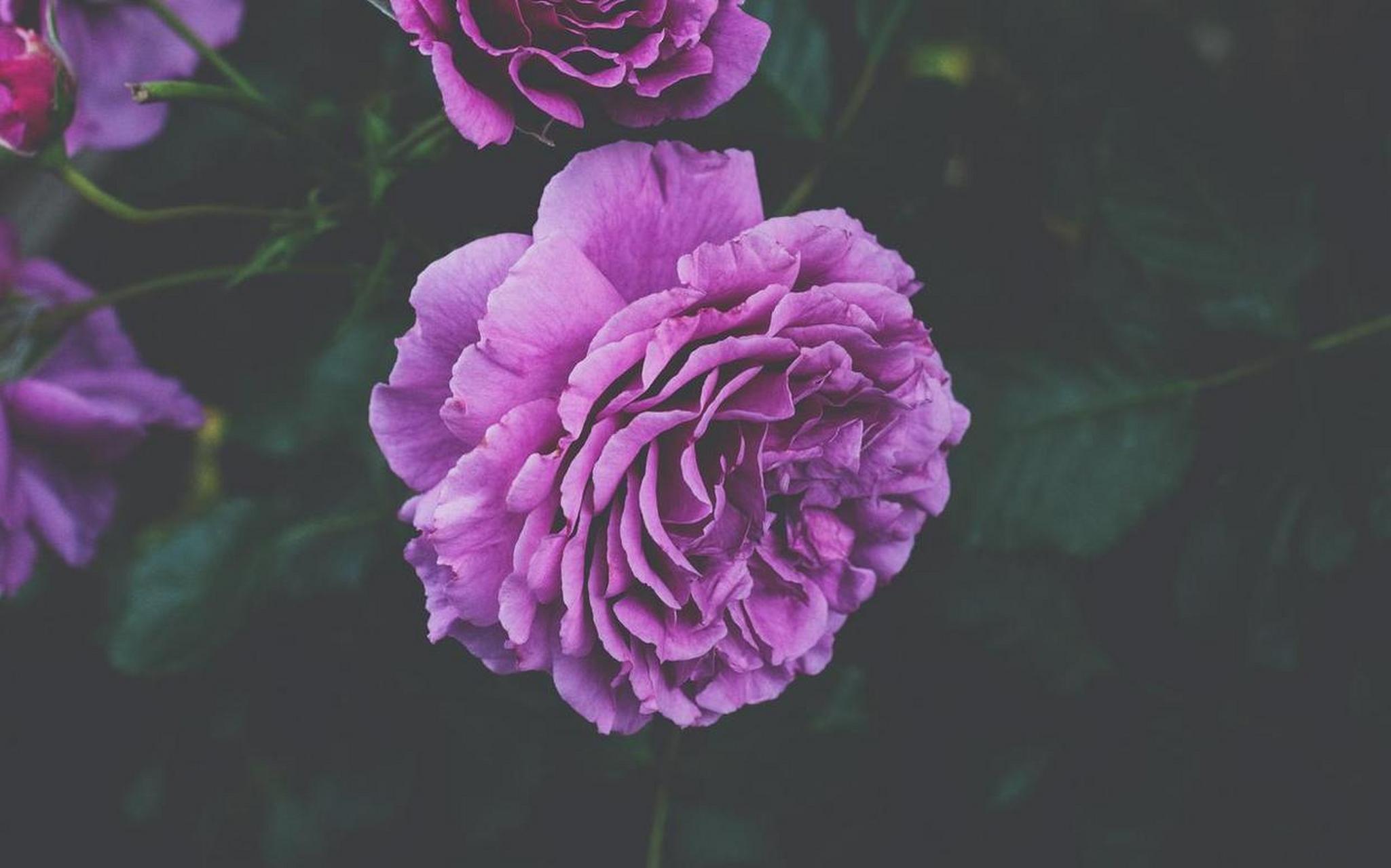 越是在乎,麻烦就越多.