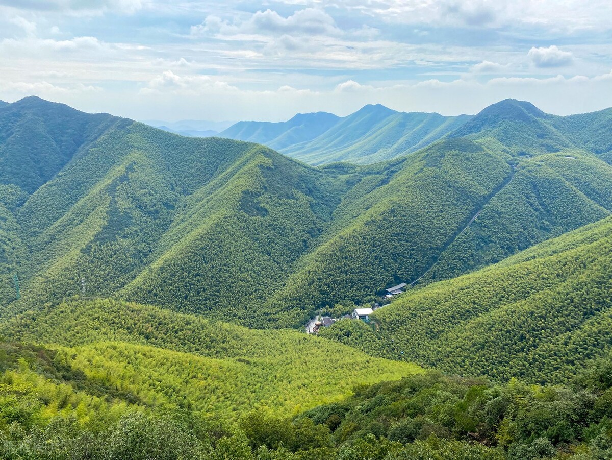 南山竹海秋季图片