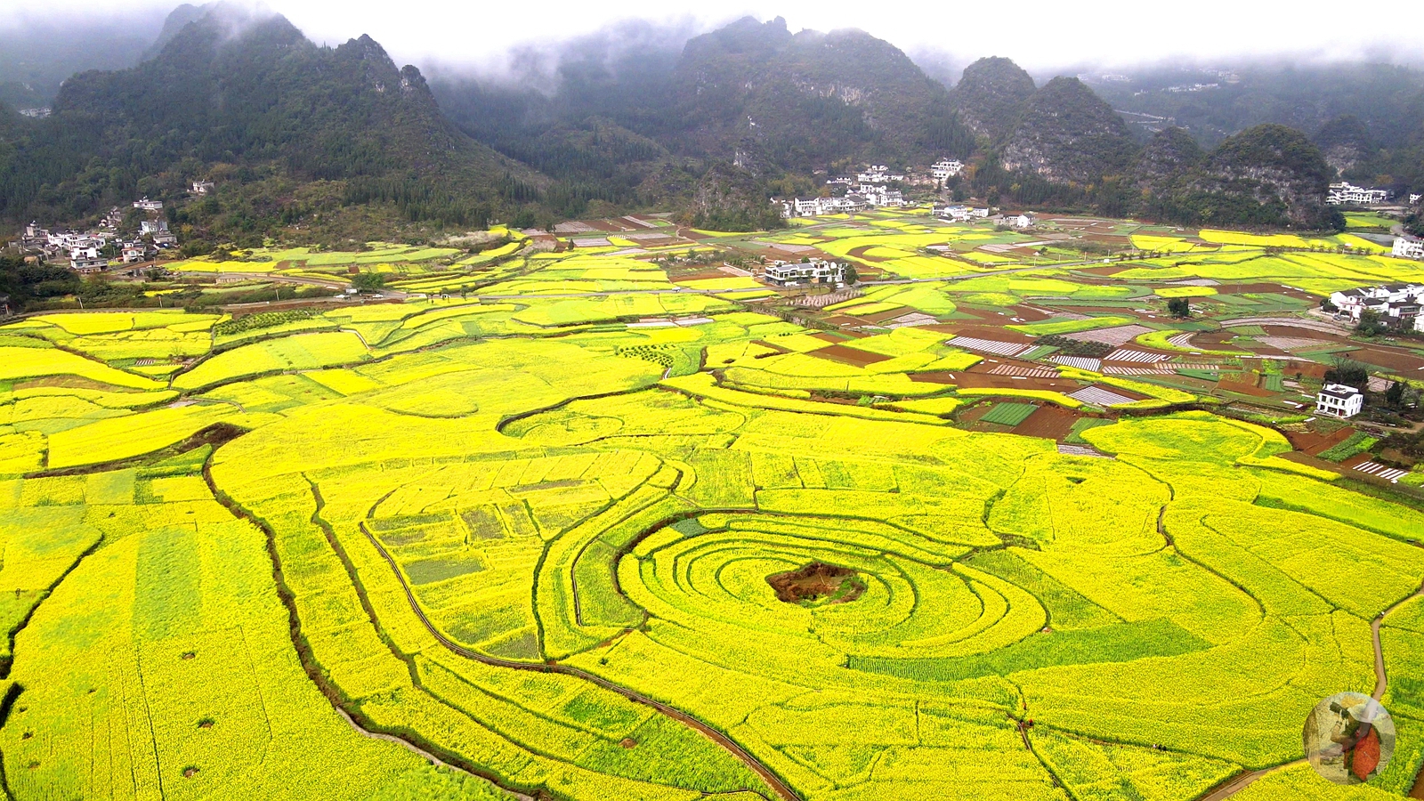 兴义油菜花最佳地点图片