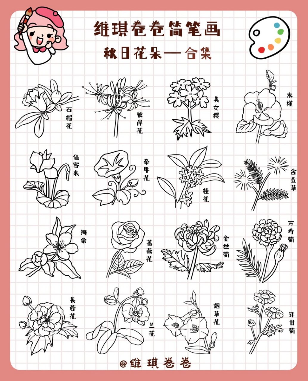 秋日花朵简笔画合集  春天来啦!万物复苏,花儿也盛开了.