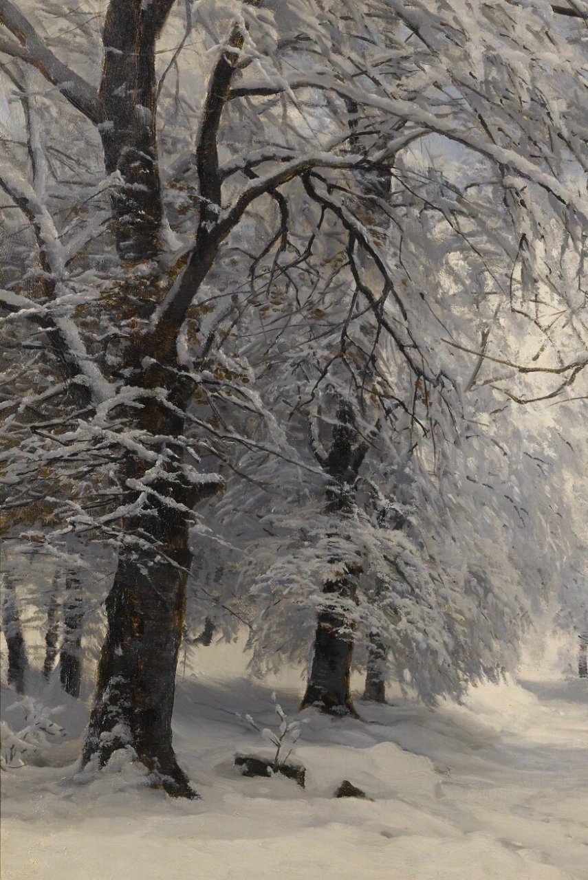 皑皑白雪天地为霜图片