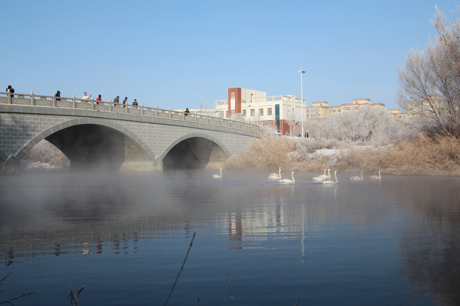 新疆生产建设兵团# #冬日家乡美景这些天,石河子北泉镇清水河水域