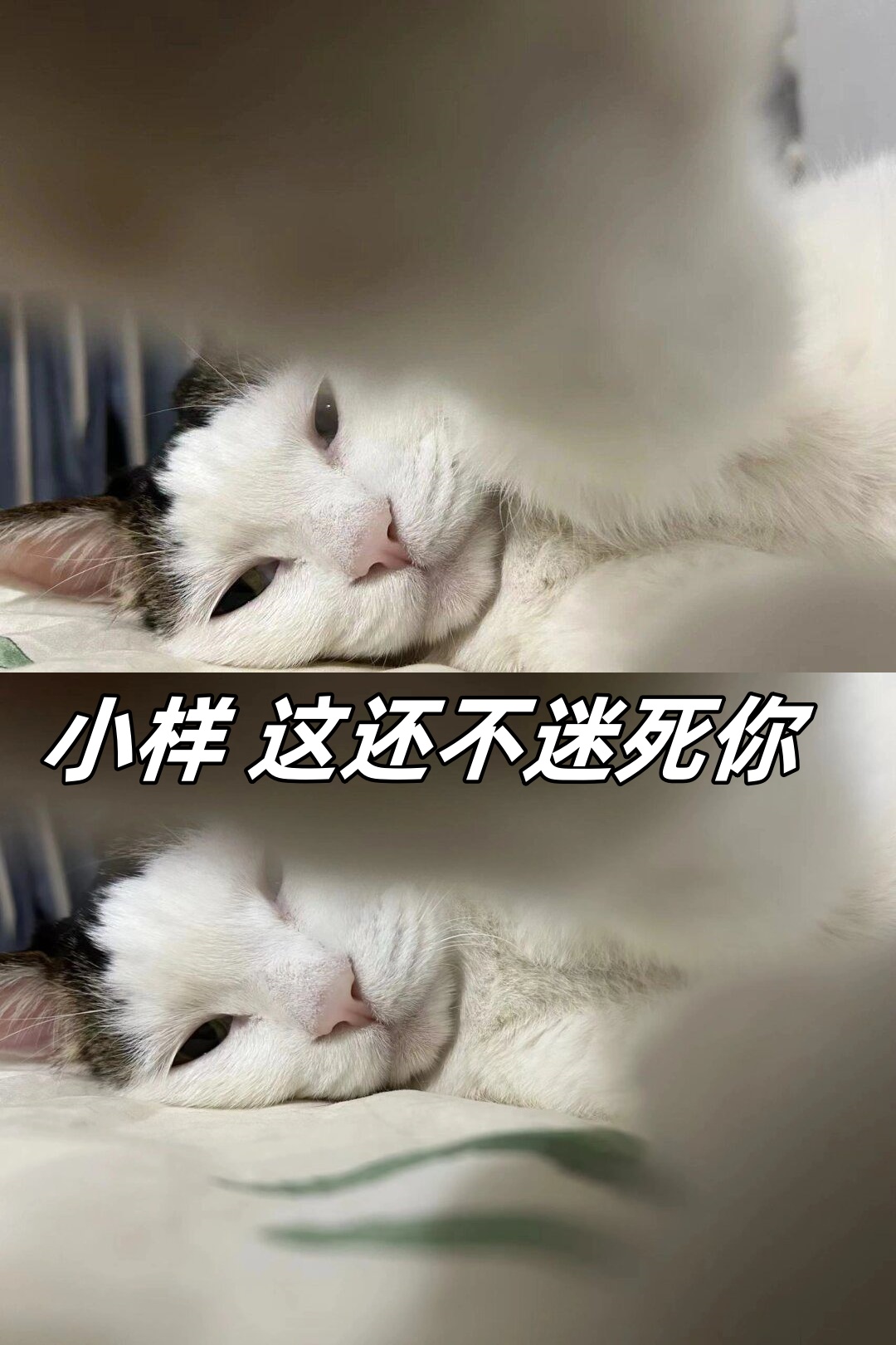 小样 这还不迷死你
