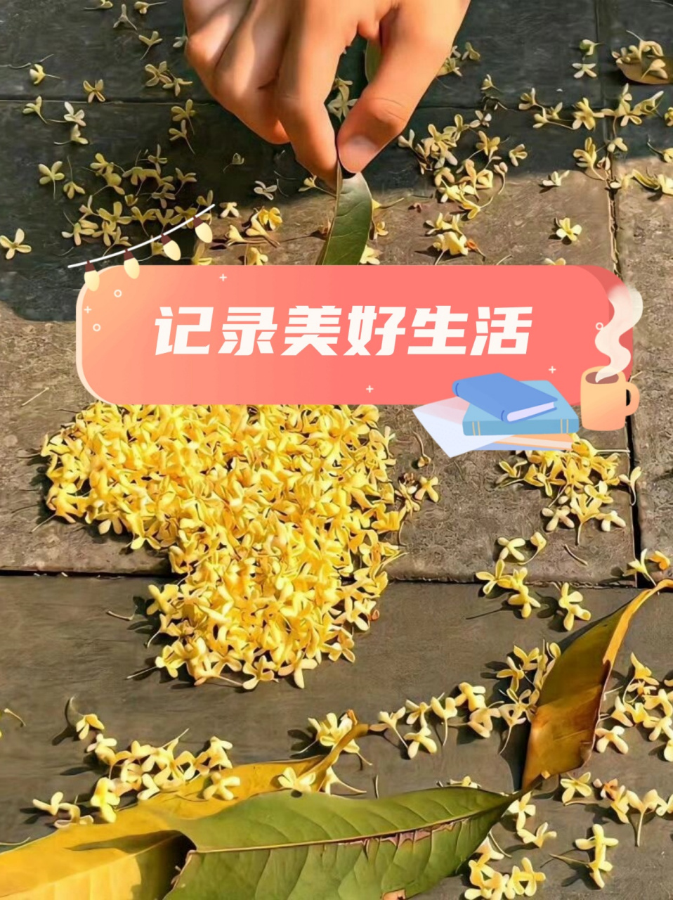 记录美好生活  一天晚上,他正在写作业,突然说:"妈妈,你们小时候好