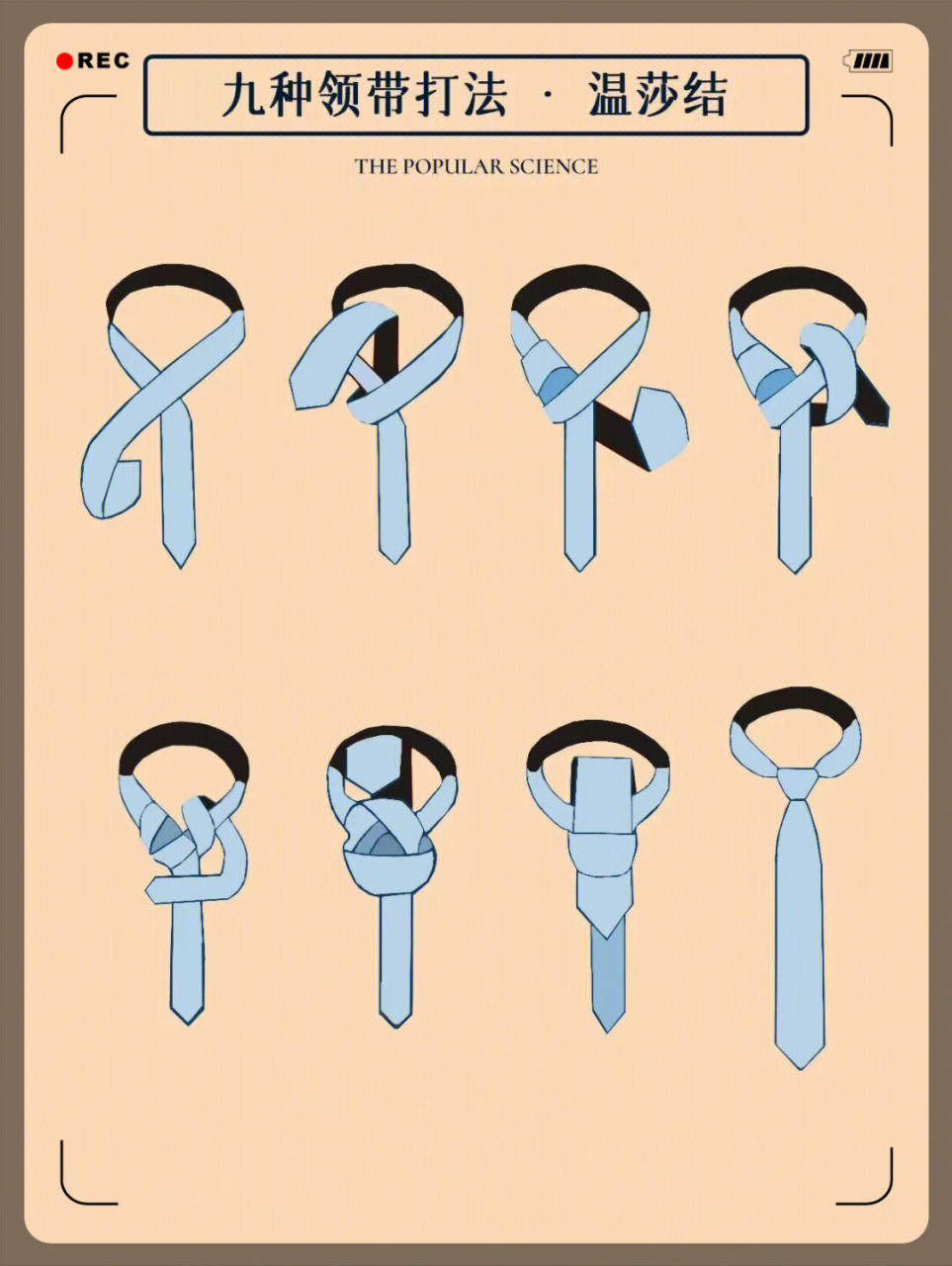 我要上热门# 11566温莎结:适合搭配宽衬衫,是最正统的领带打法