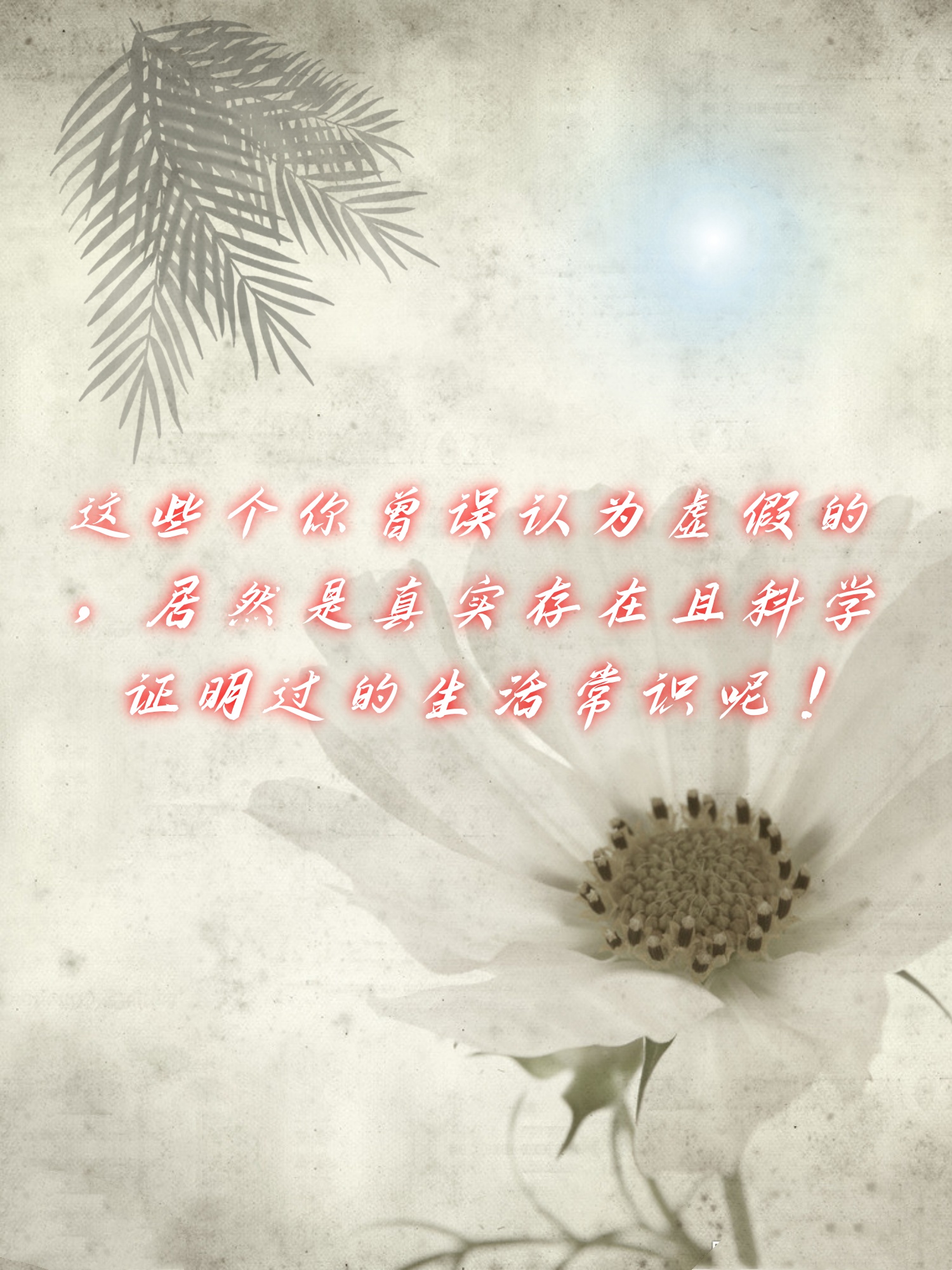 那些曾经被我们错误地视为虚无缥缈的,竟然是千真万确且经过严谨科学