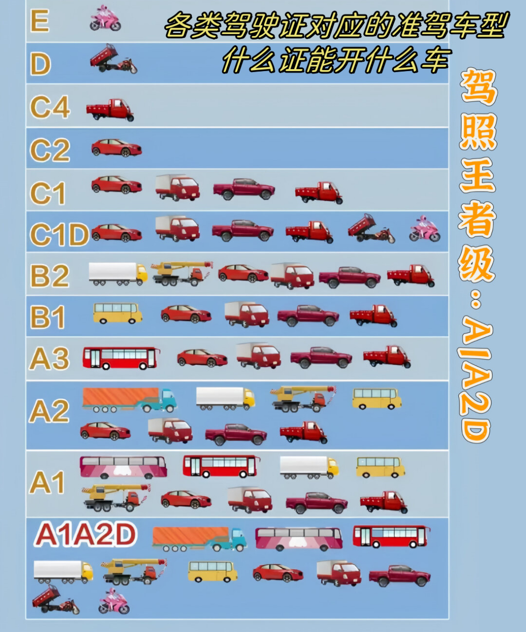 c1驾照可以开什么车图片