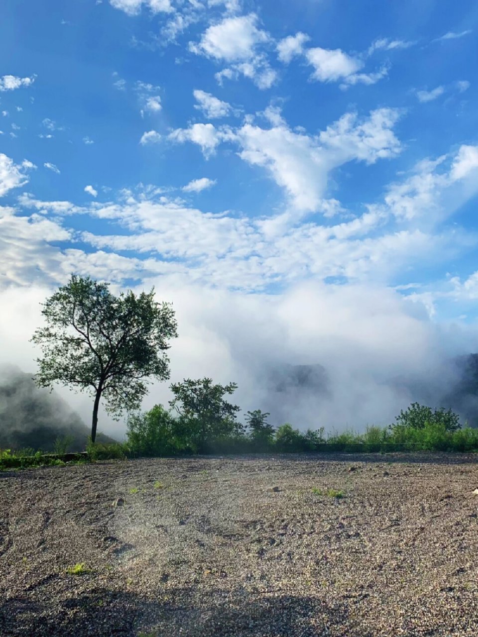 又一个看云海的好去处  我曾经是妙峰山玫瑰谷的常客,那里的云海美景