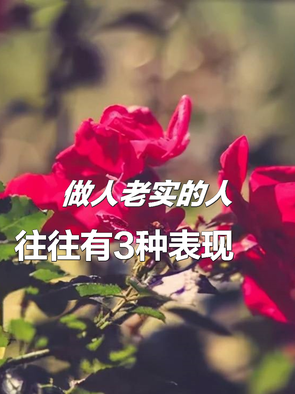 "人若老实,活得窝囊":做人老实的人,往往有3种表现,你有吗  人若老实