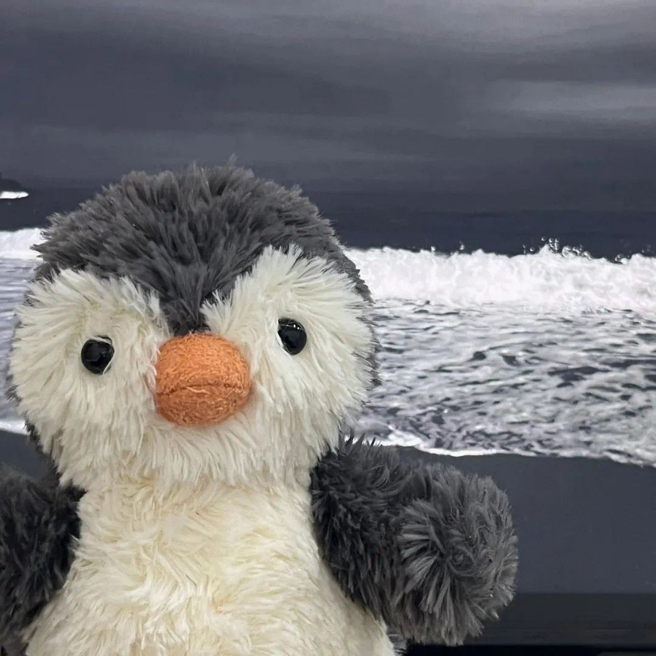 penguin 小企鹅93头像 让小企鹅带你一起去旅行吧 #最靓头像壁纸