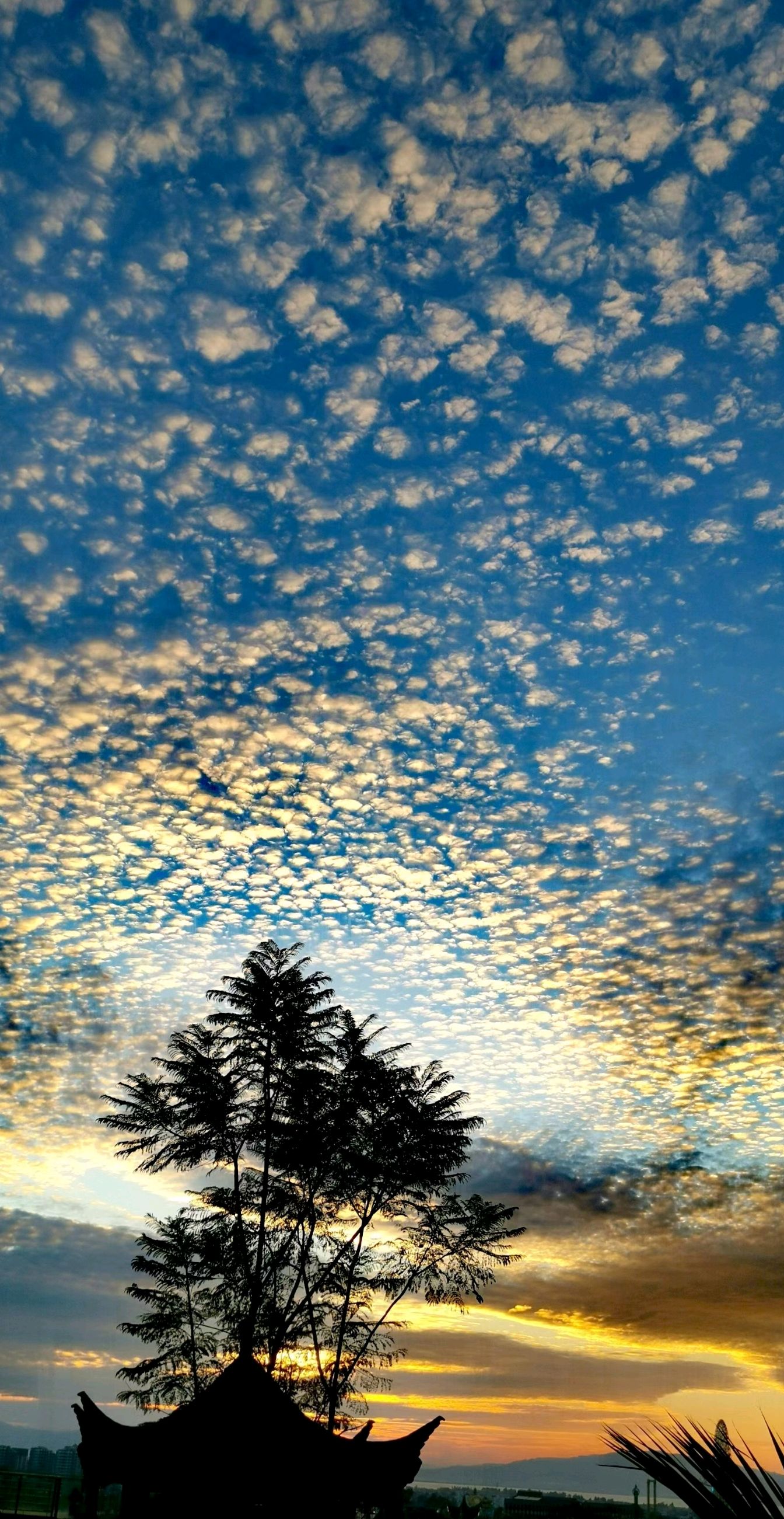 云南冬日云彩:大自然的神奇与美丽