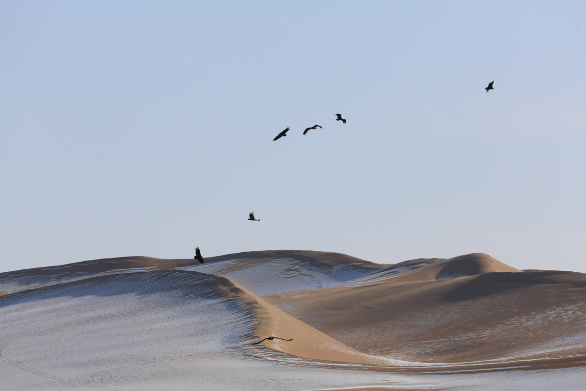 严冬凛冽风穿骨