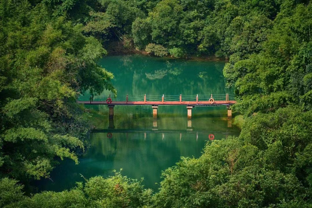 位于北回归线附近的鼎湖山,保存着400多年历史的季风常绿阔叶林