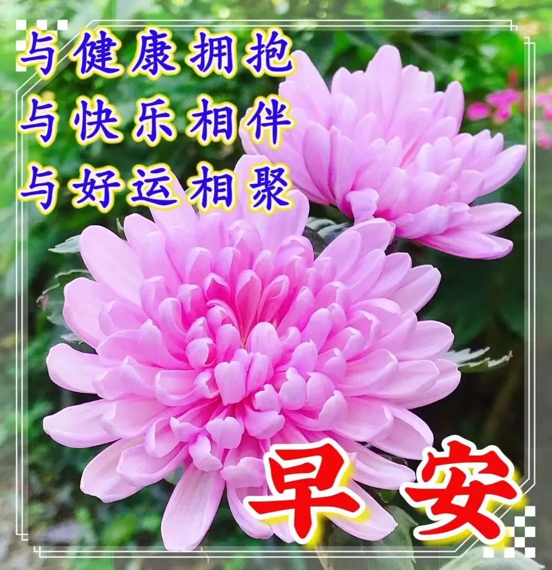 1月13日早安图片图片