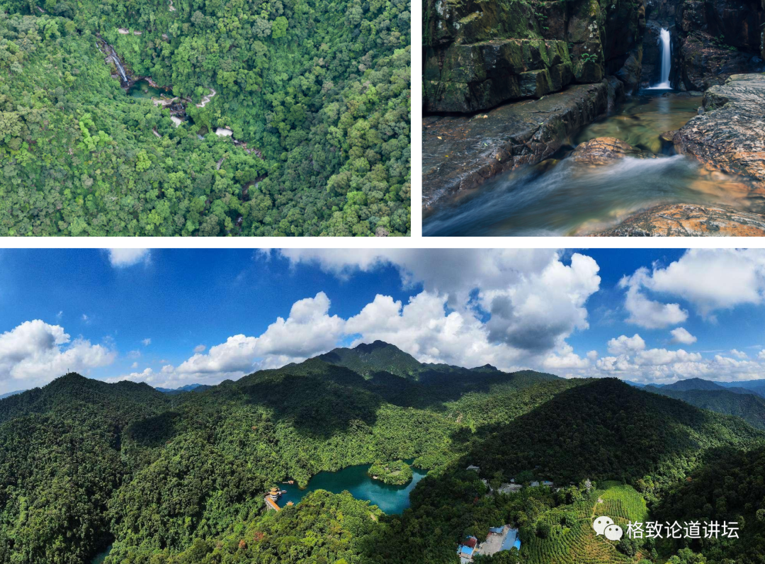 位于北回归线附近的鼎湖山,保存着400多年历史的季风常绿阔叶林