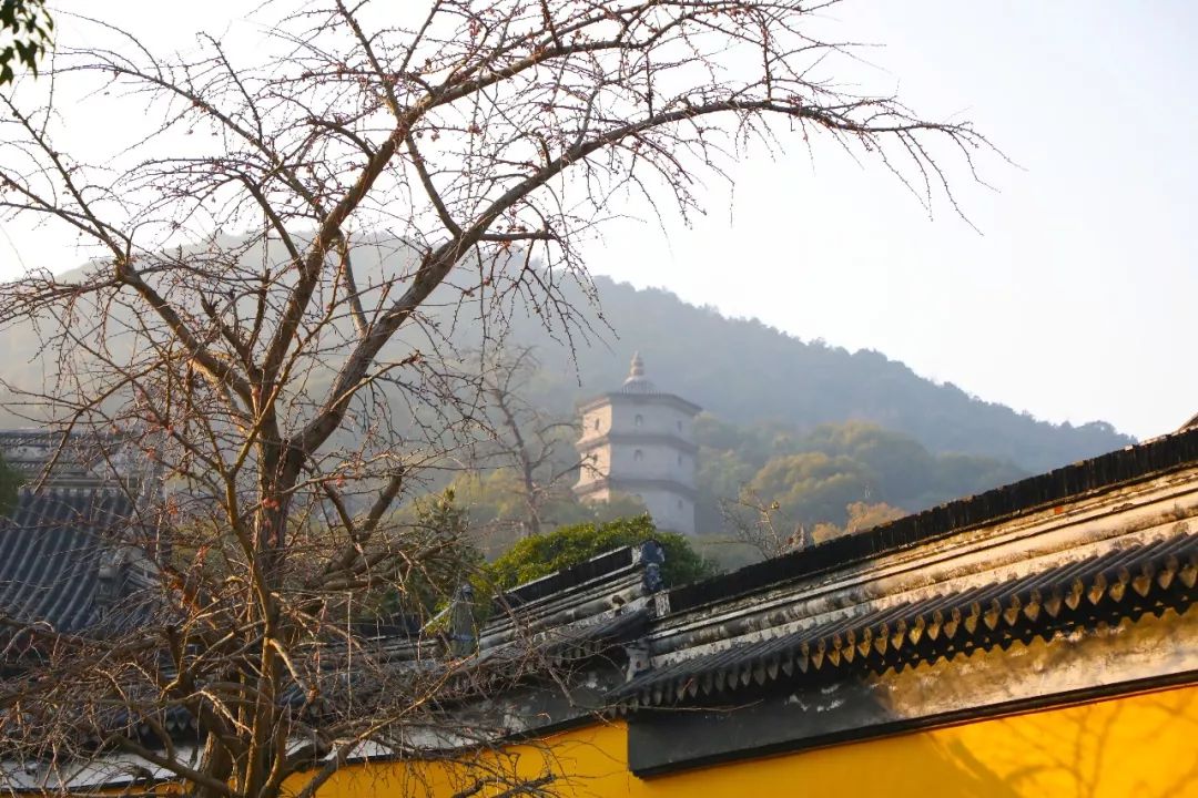 清雅幽远,安静美好,深冬,来苏州太湖西山岛包山禅寺感受禅意