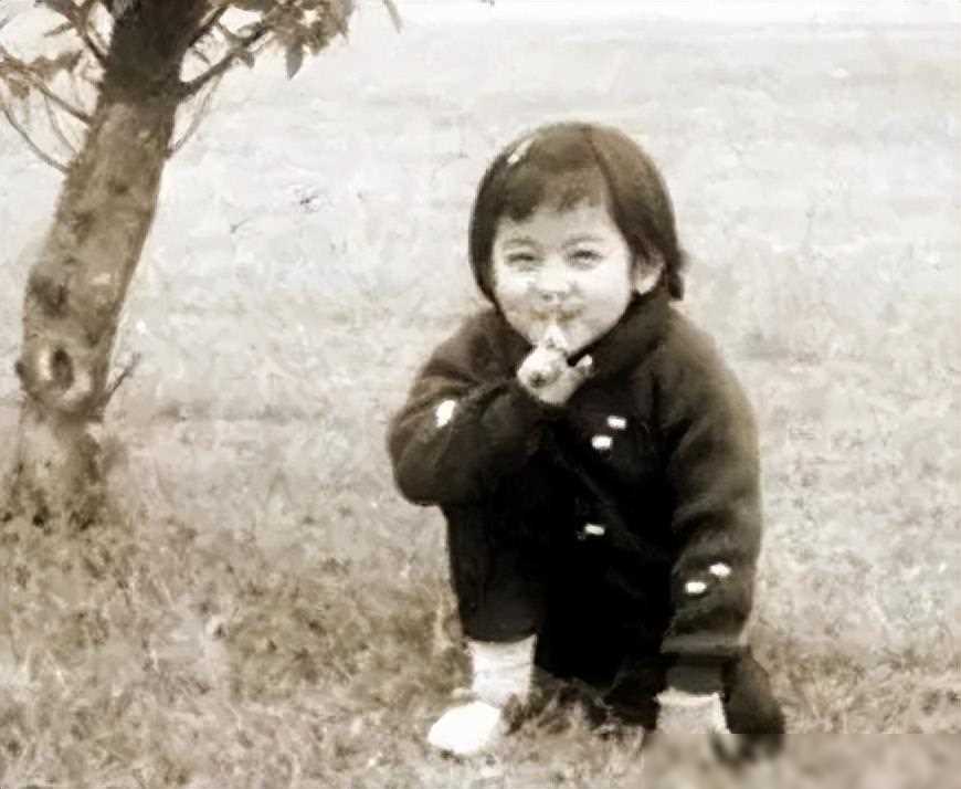 董卿父亲董善祥:复旦大学高才生,女婿出事后非常担忧女儿的未来