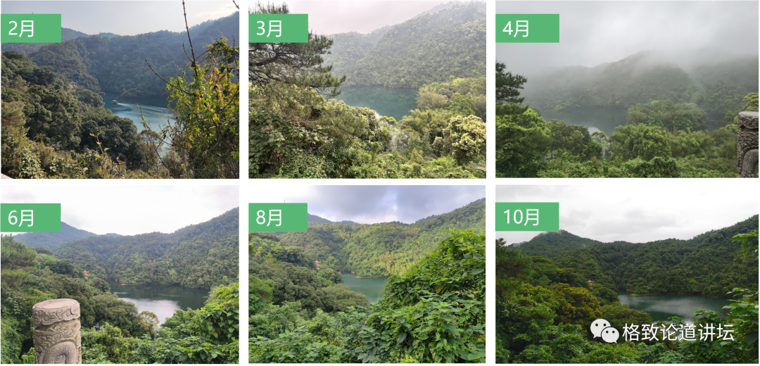 位于北回归线附近的鼎湖山,保存着400多年历史的季风常绿阔叶林