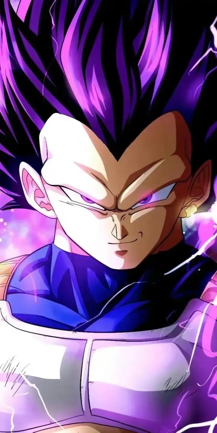 龙珠:贝吉塔的 12 种变身形态全解析,你真的了解他吗?