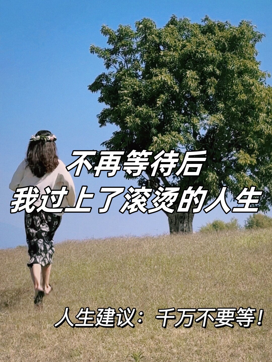 对于我的忠实老粉丝而言他们深知我起步时是以图文内容创作者的身份