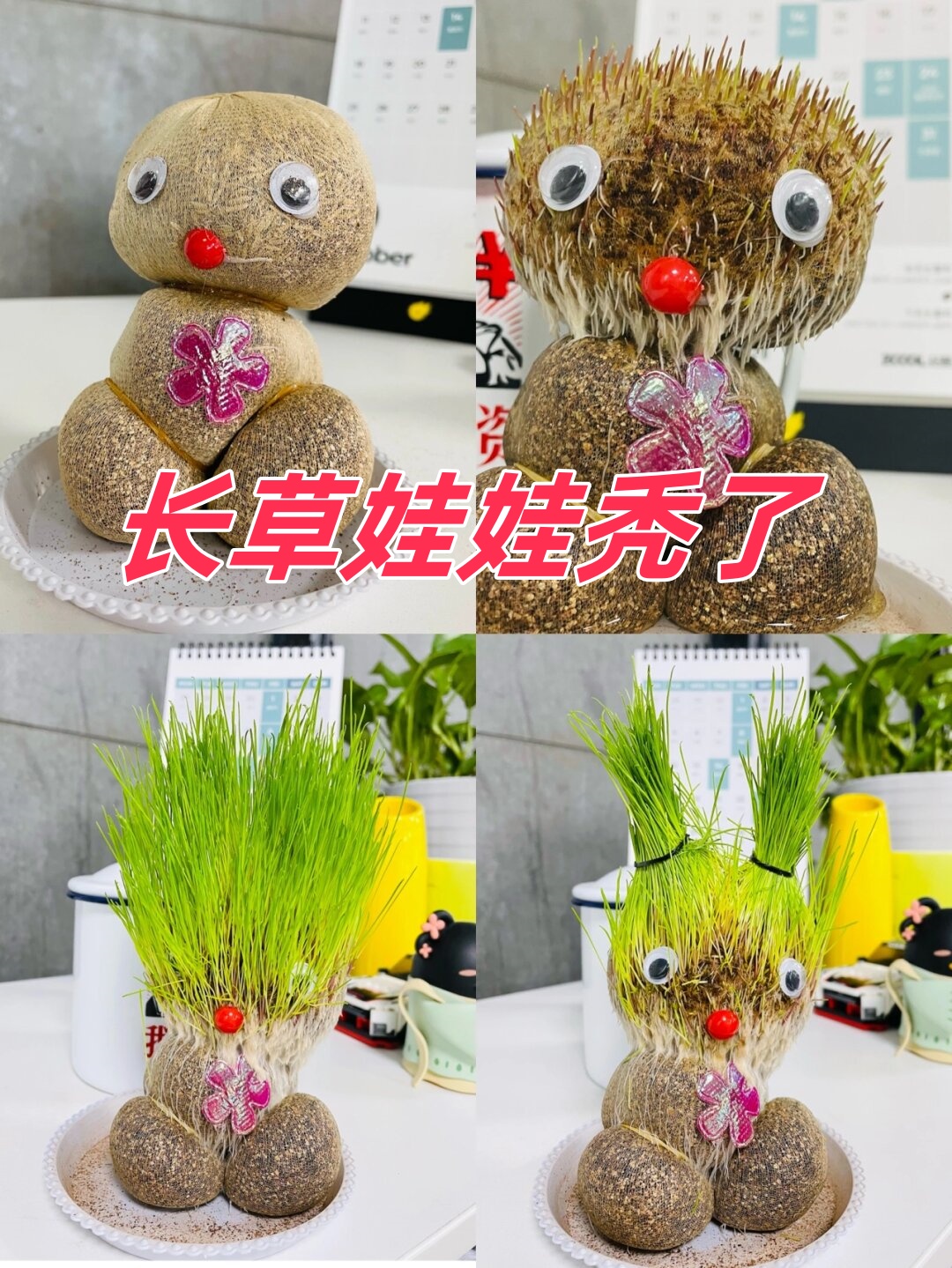 这个草娃娃真有趣,表面上看上去生机勃勃,实际上却是