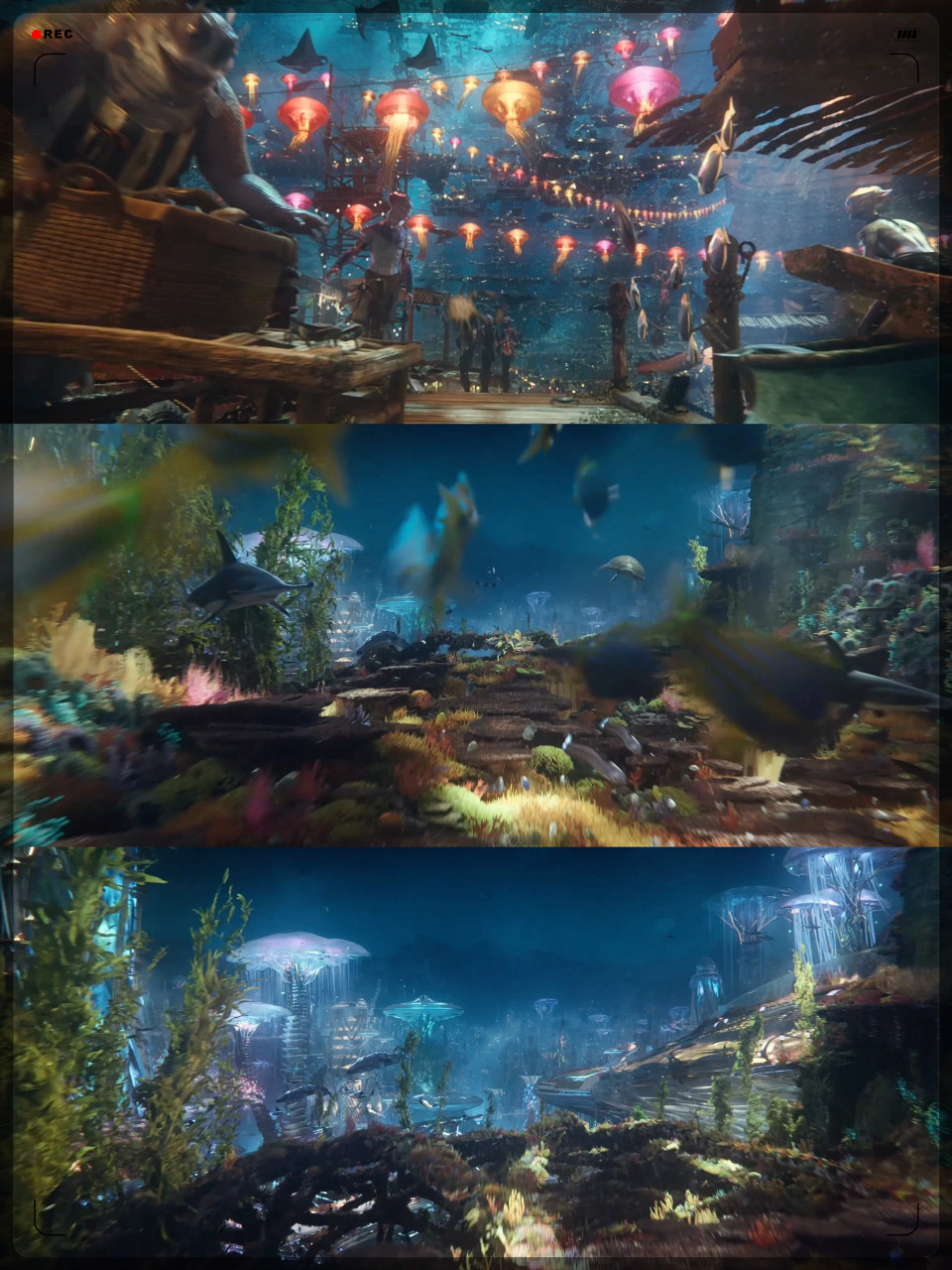 喜欢自然的人一定要去看6015  《海王2》这部电影展现的海底世界