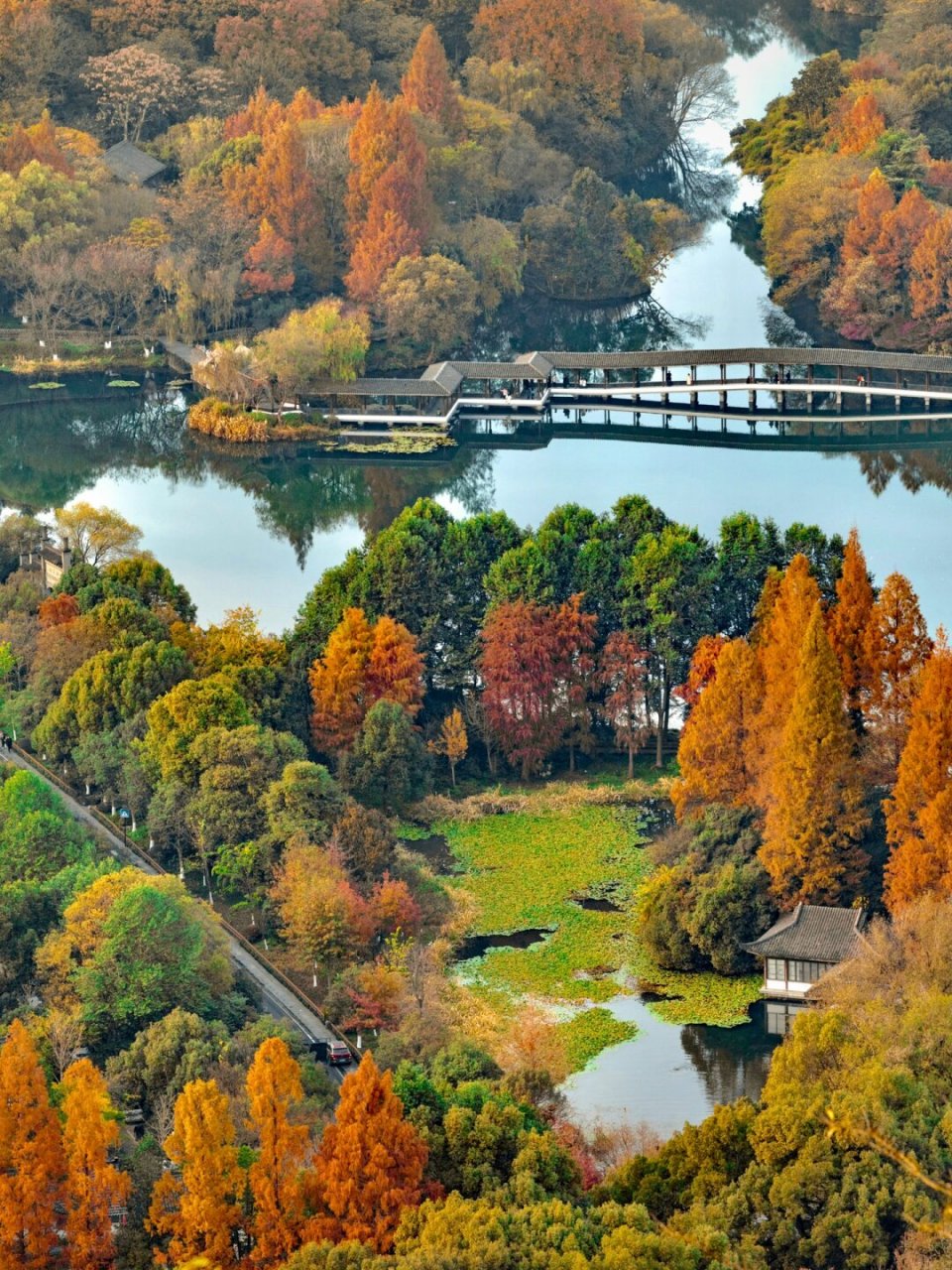 西湖秋景尽收眼底!  秋天的杭州,美得如诗如画.