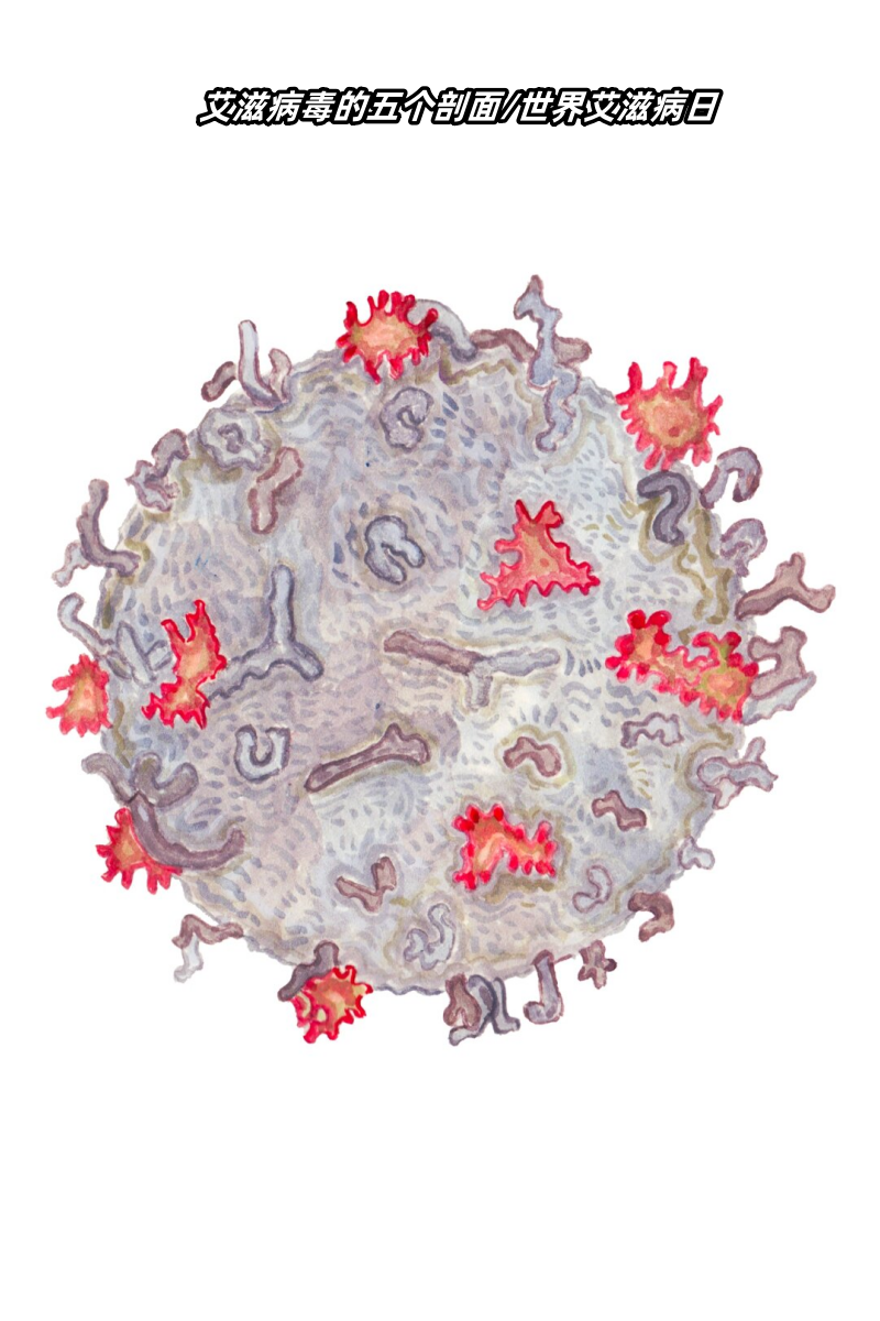 艾滋病毒的五个剖面/世界艾滋病日
