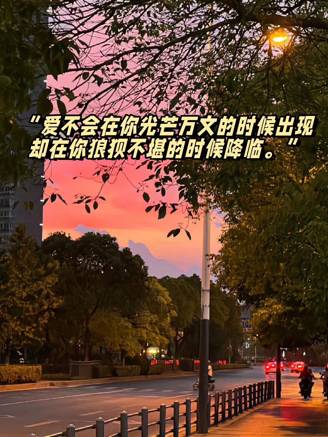 爱不会在你光芒万文的时候出现却在你狼狈不堪的时候降临