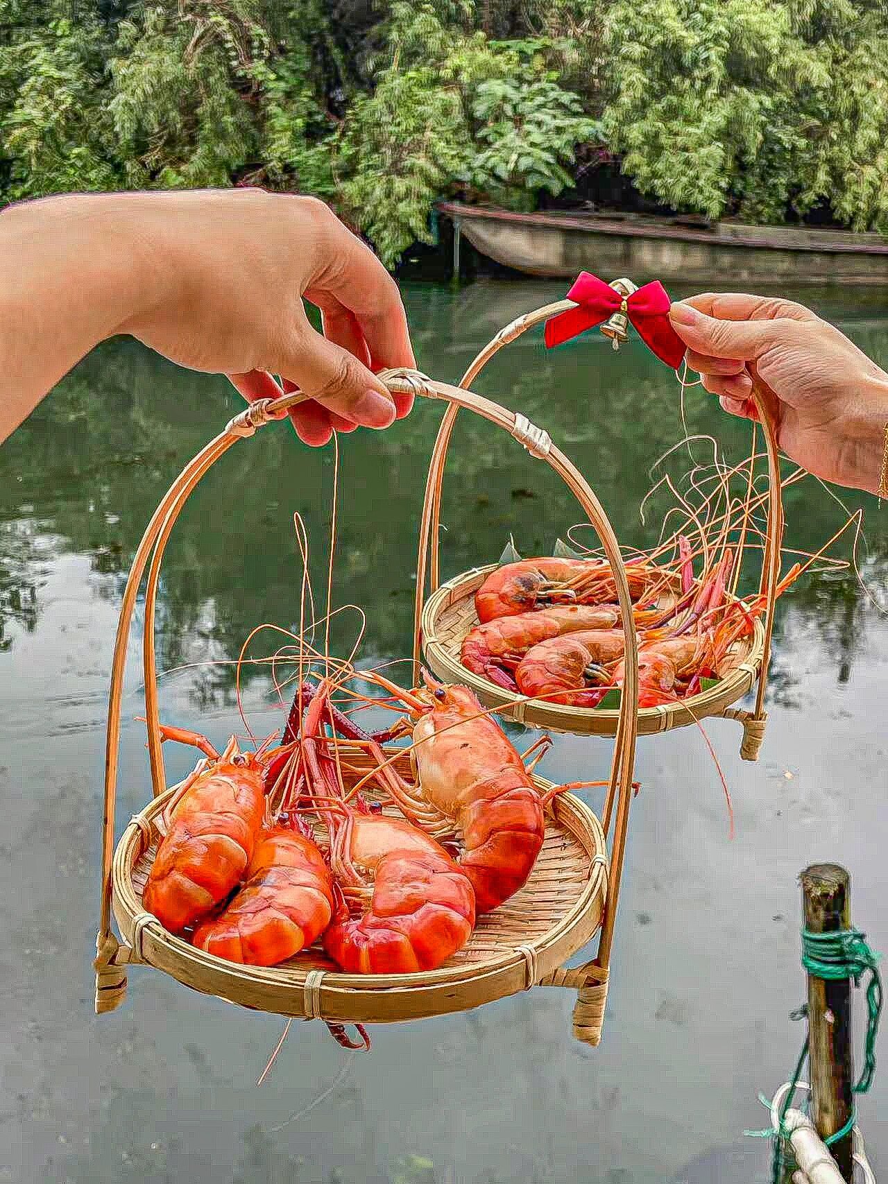 河蟹娱乐，河蟹app免费下载