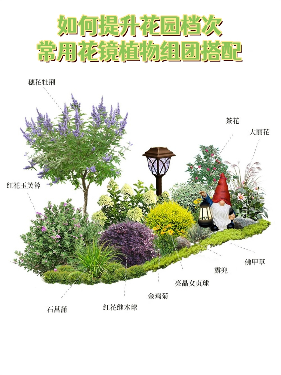 如何提升花园档次常用花镜植物组团搭配  这些植物不仅适应性强,而且