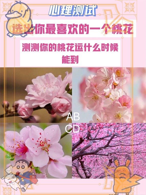 测测你桃花运何时开启 我选的a,我最喜欢这个桃花!