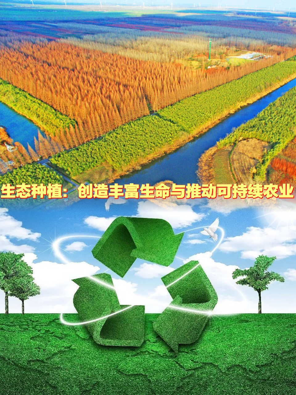 生态种植:创造丰富生命与推动可持续农业