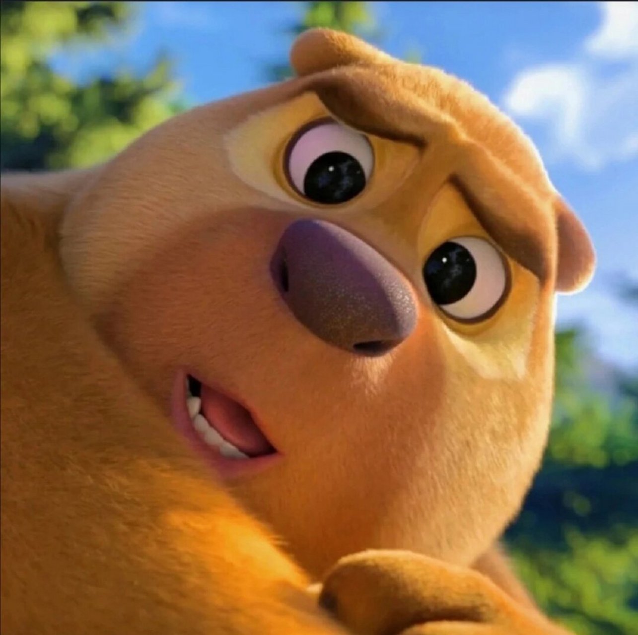 熊熊搞笑头像  熊出没搞笑表情包